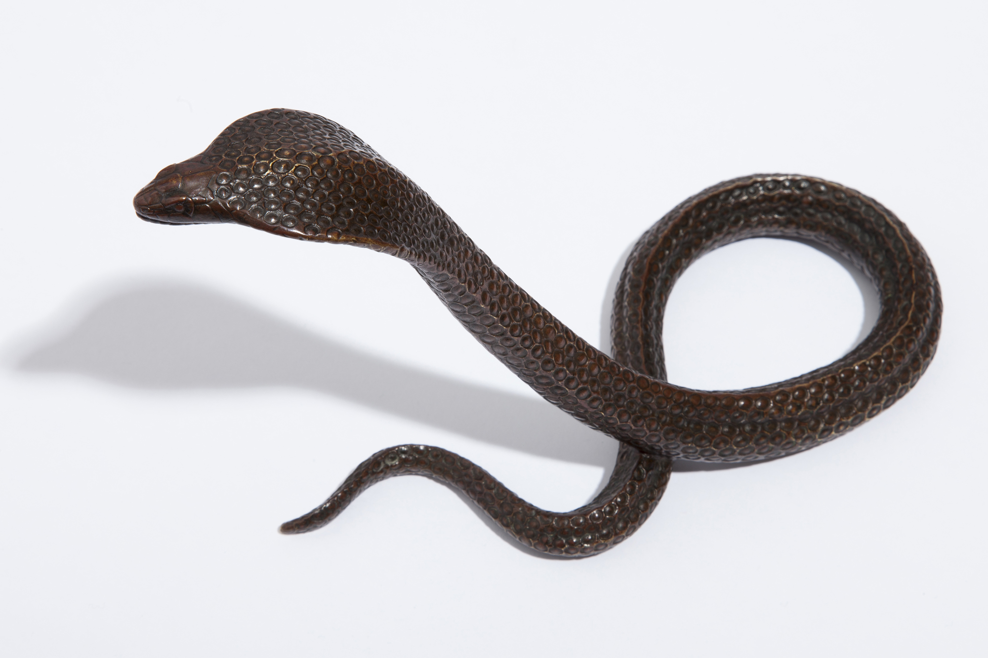 Dunand Smaller Snake